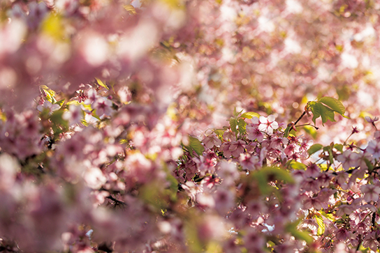 Close-up of shooting scene