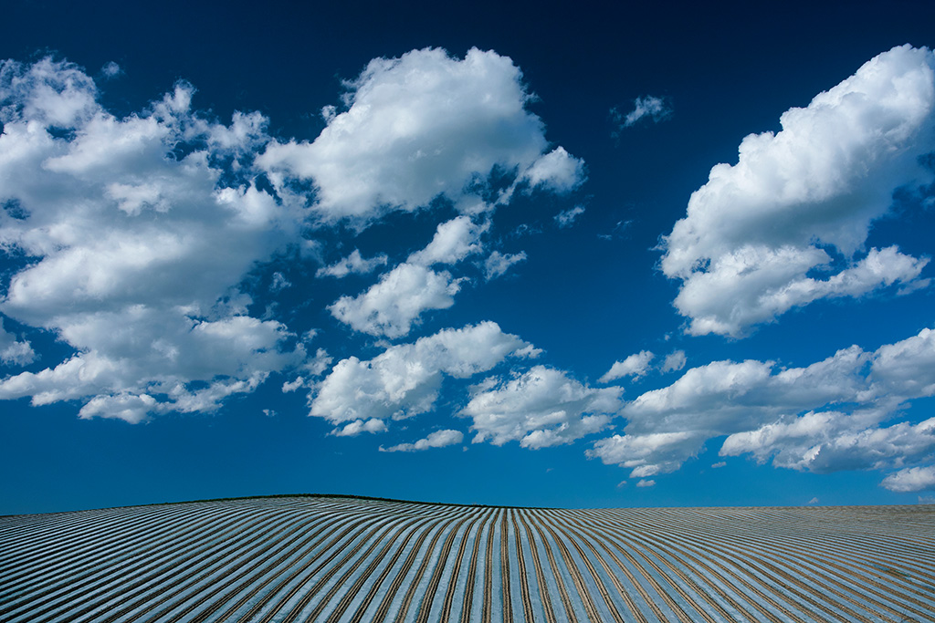 Blue sky over farmland