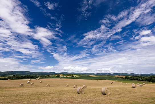 Blue sky over farmland