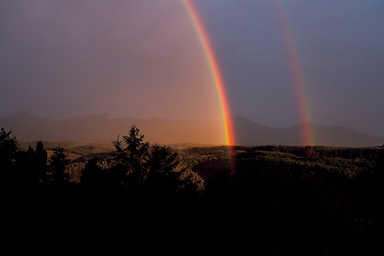 Rainbows (failed shot)