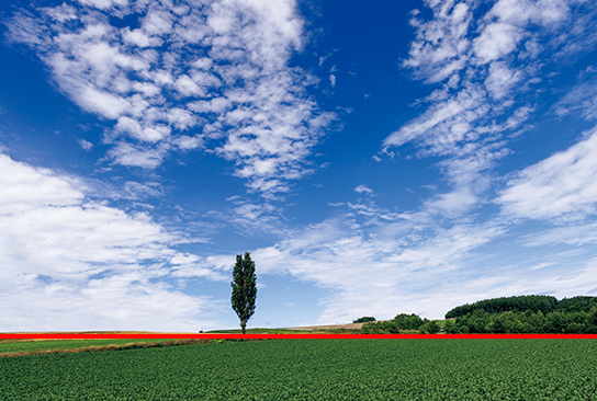 Horizontally tilted image, corrected