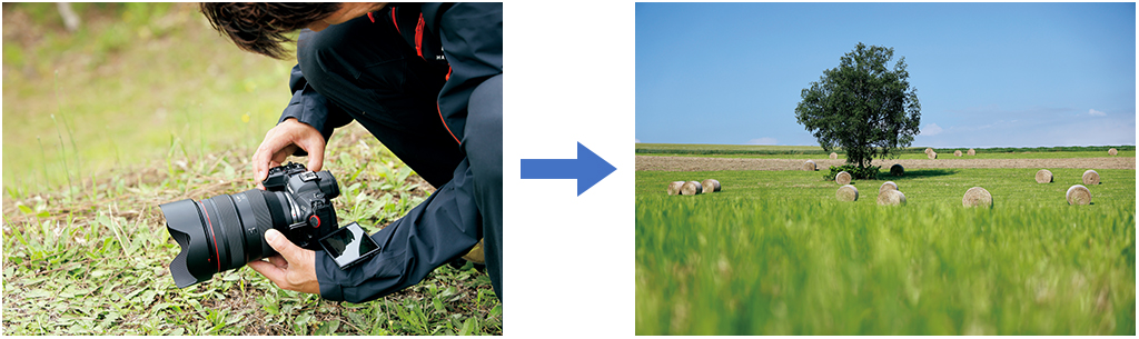 Low position example