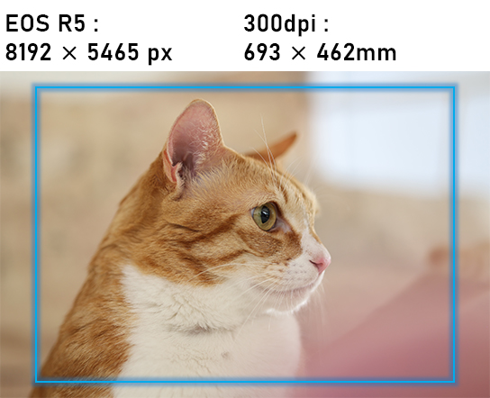 Print size difference