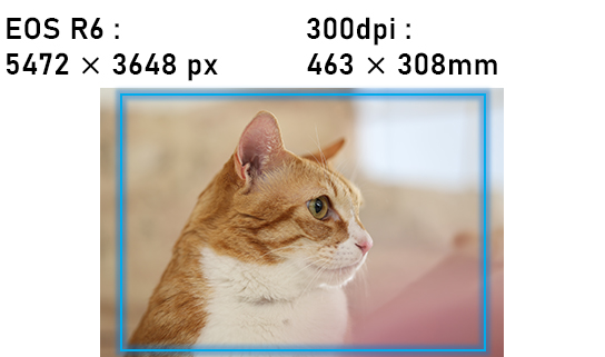 Print size difference