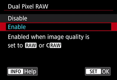 Canon Dual Pixel RAW menu