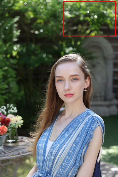 Portrait with background bokeh