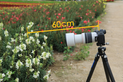 Lens at closest focusing distance from subject