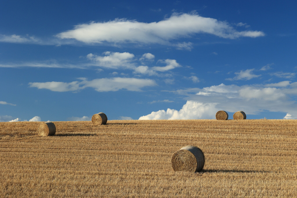 Hay field blue sky