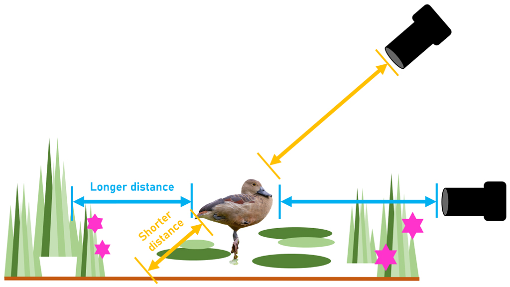 Diagram showing how camera angle affects distance from background