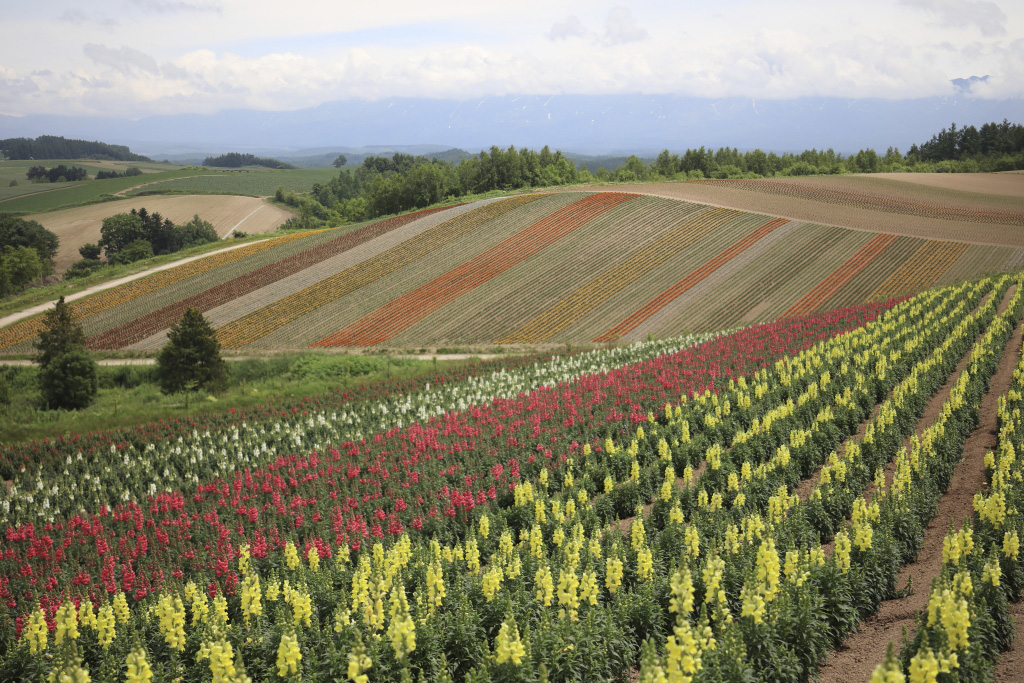 Rolling hills fully in focus
