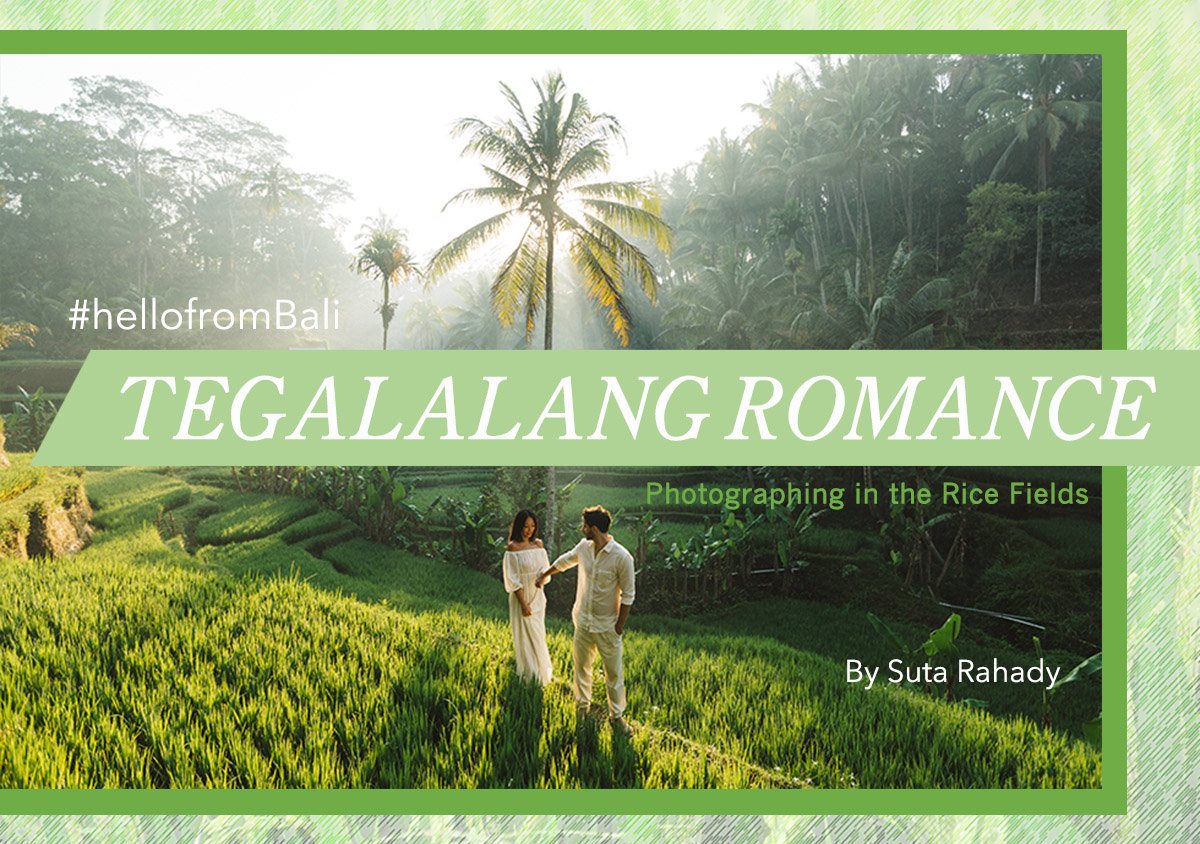 #HelloFrom Indonesia: Romantic Lighting in a Bali Rice Field