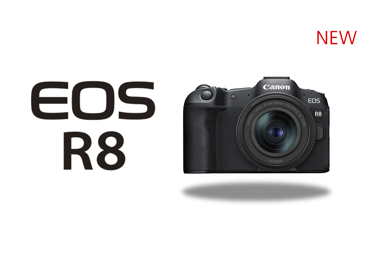 8+ Reasons to Consider the EOS R8 for Content Creation