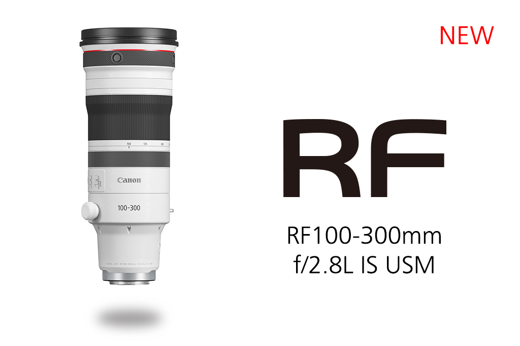 RF100-300mm f/2.8L IS USM cover image