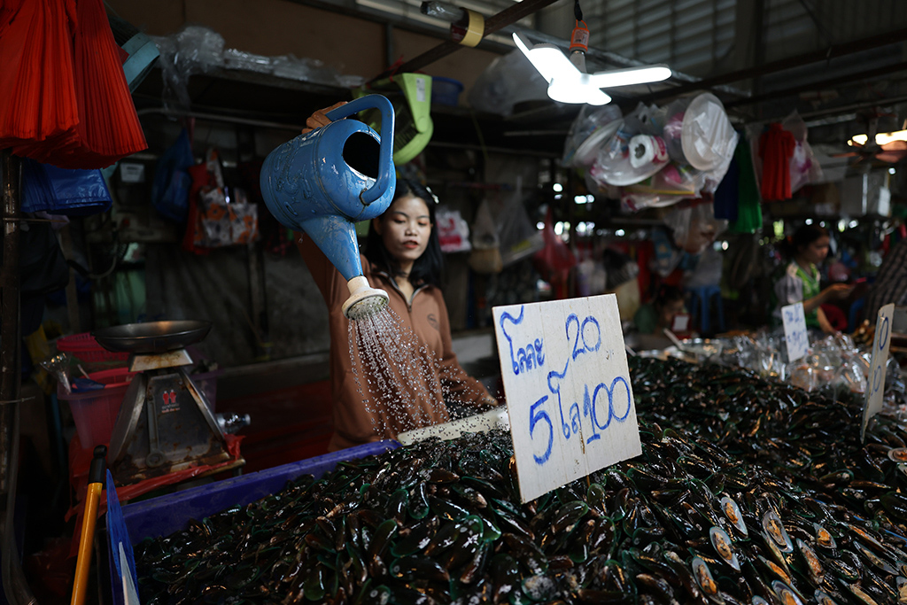 Wide-angle shot of vendor in a marketplace