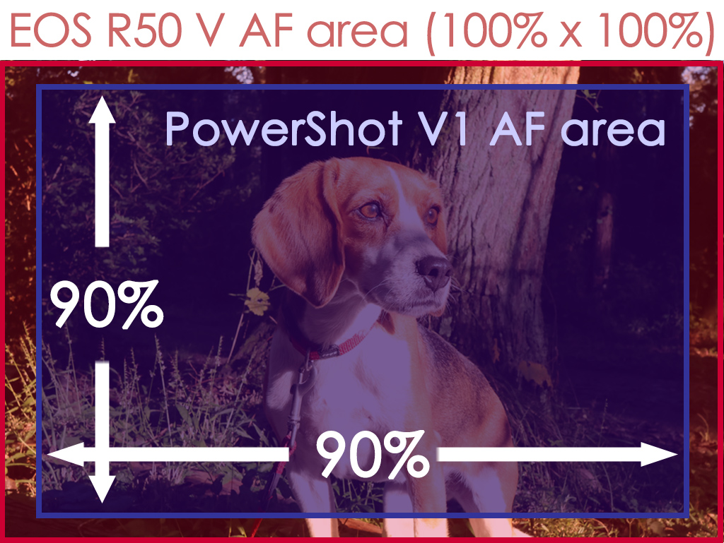 EOS R50 V and PowerShot V1 AF area difference