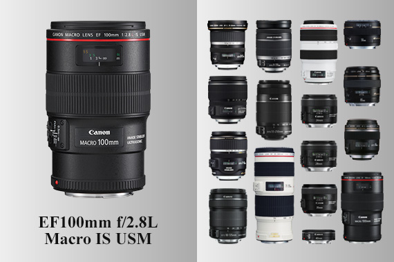 EF100mm f/2.8L Macro IS USM – Mid-telephoto Macro Lens with