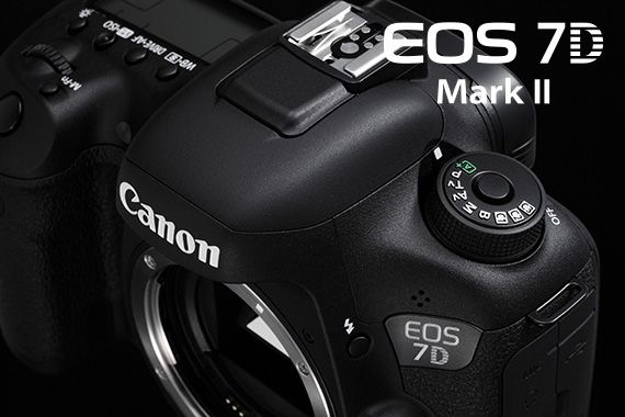 In Focus: EOS 7D Mark II