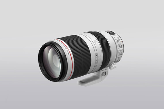 EF100-400mm f/4.5-5.6L IS II USM